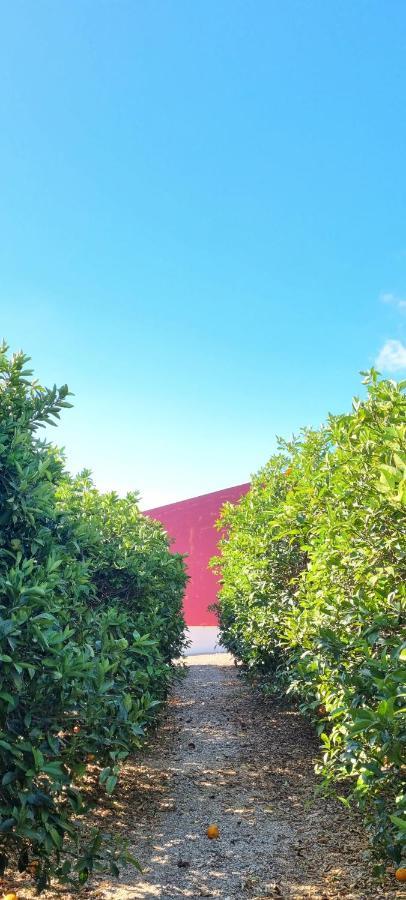 Villa Quinta Dos I'S - Algarve à Ferrarias  Extérieur photo