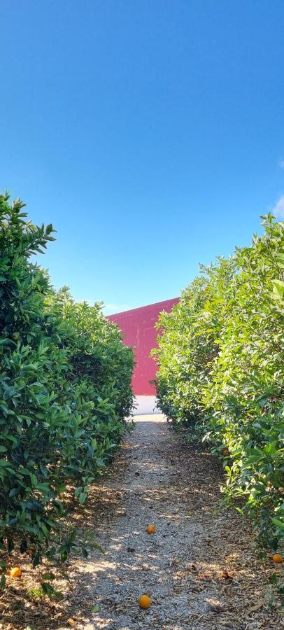 Villa Quinta Dos I'S - Algarve à Ferrarias  Extérieur photo