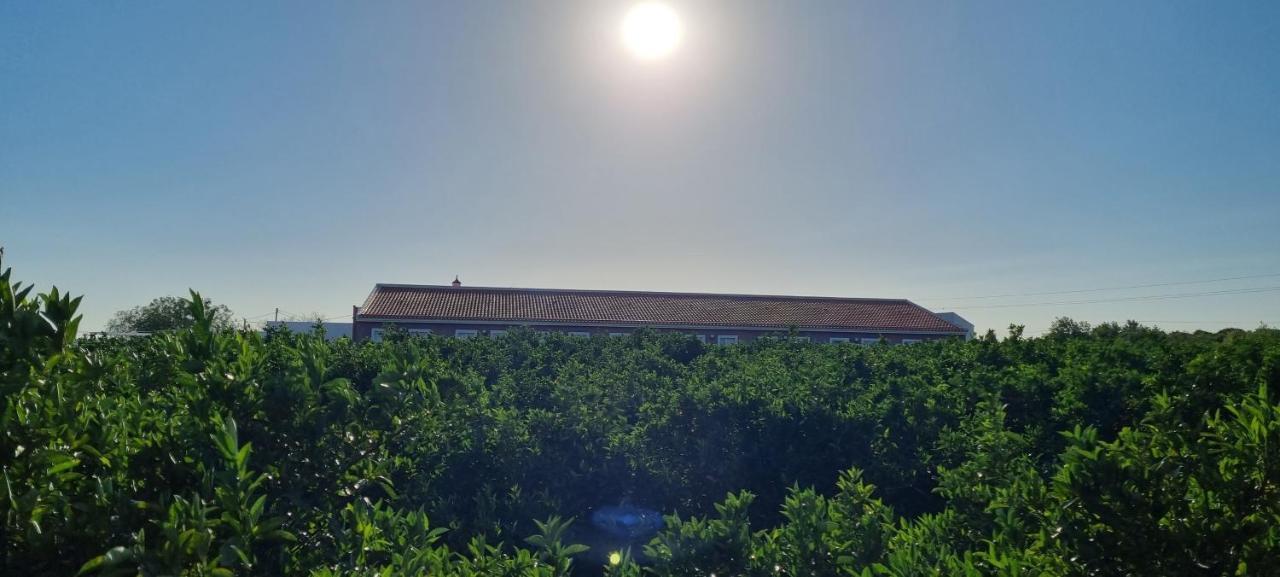 Villa Quinta Dos I'S - Algarve à Ferrarias  Extérieur photo